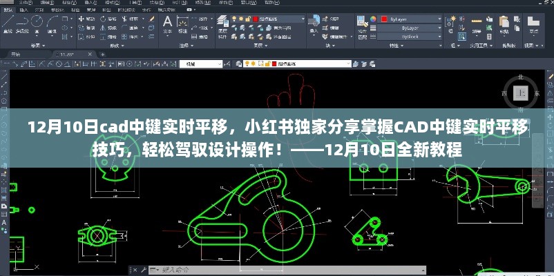 掌握CAD中键实时平移技巧，小红书独家教程分享，轻松驾驭设计操作！