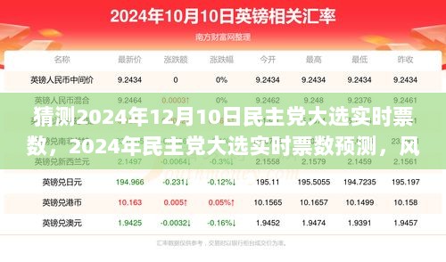 风云变幻的选举日，预测2024年民主党大选实时票数