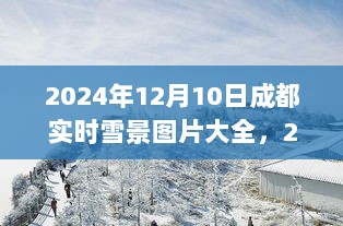 2024年12月10日成都实时雪景图片大全及欣赏指南