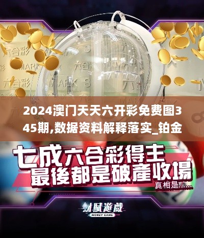 2024澳门天天六开彩免费图345期,数据资料解释落实_铂金版3.654