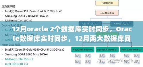 Oracle数据库实时同步，两大数据库间的紧密联动与影响在12月的实时同步操作