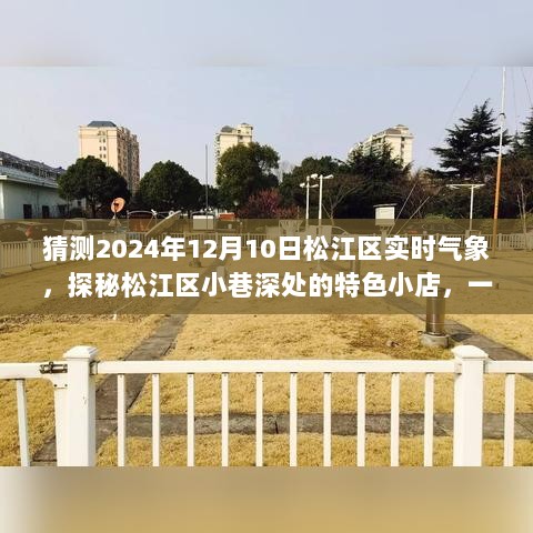 松江区气象探秘与小巷特色小店奇幻之旅，2024年12月10日实时气象之旅