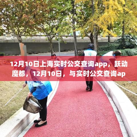 跃动魔都，实时公交查询app开启自信成长之旅（12月10日）