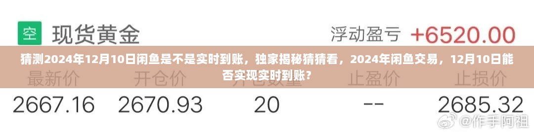 独家预测揭秘，闲鱼交易实时到账，2024年12月10日能否实现？