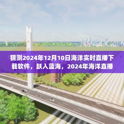 2024年海洋直播下载软件，蓝海探索与未来观海体验