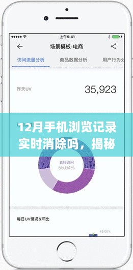揭秘手机浏览记录实时清除功能，深度测评与用户体验报告，能否实现12月手机浏览记录实时消除？