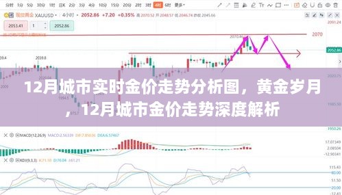 黄金岁月，深度解析城市金价走势与实时金价走势分析图