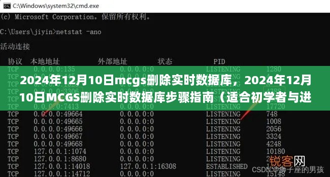 MCGS删除实时数据库步骤指南，初学者与进阶用户通用（2024年12月10日）