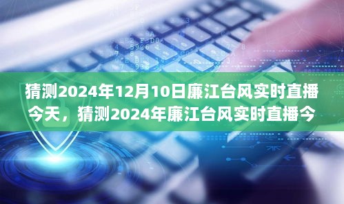 2024年廉江台风实时直播预测与产品评测报告