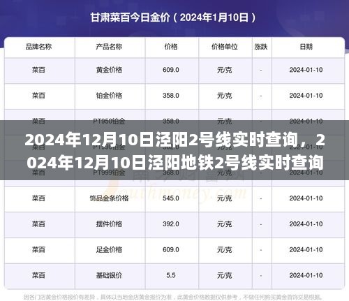 2024年12月11日 第31页