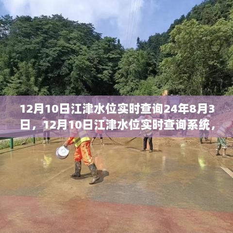 透视二十年变迁，12月10日江津水位实时查询系统对比观察