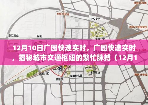 揭秘广园快速交通枢纽繁忙脉搏，城市道路的繁忙实时记录（特别报道）