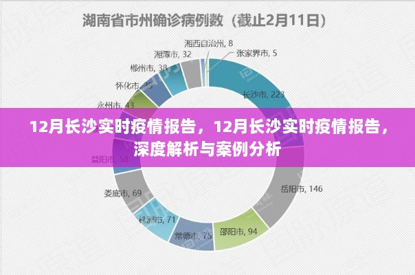 深度解析与案例分析，长沙实时疫情报告（12月版）