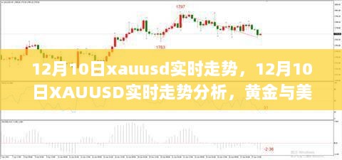 黄金与美元的博弈，揭秘XAUUSD走势分析