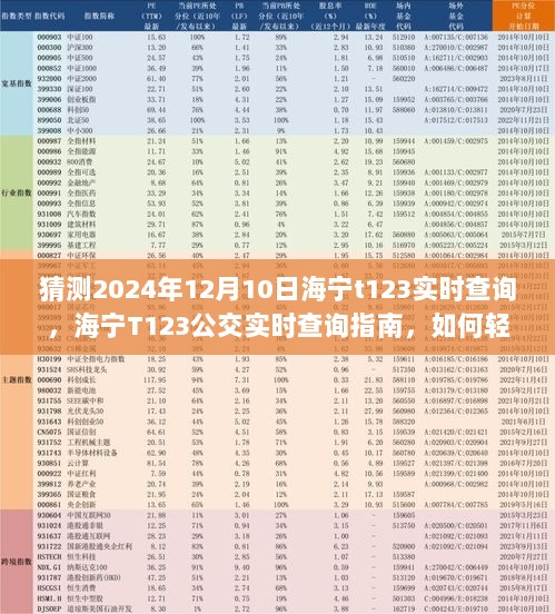 海宁T123公交实时查询指南，掌握技巧，轻松查询适用于未来日期预测（含2024年12月10日）