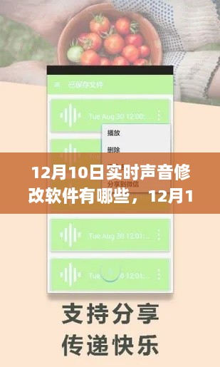 12月热门实时声音修改软件深度测评与介绍