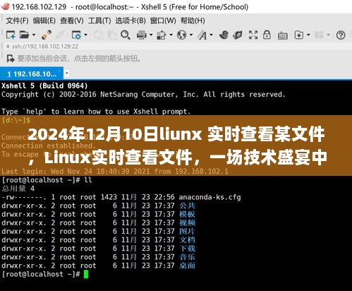 2024年观察点，Linux实时查看文件技术细节洞察之旅