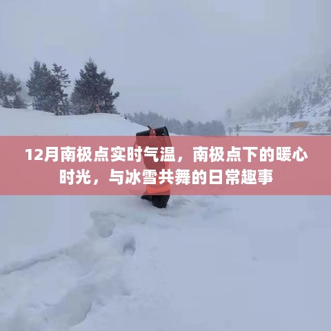 南极点暖心时光，12月实时气温下的冰雪日常趣事