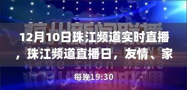 珠江频道直播日，友情、家庭与温暖的瞬间（12月10日实时直播）