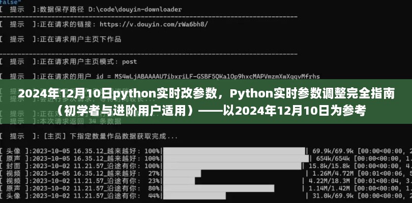 Python实时参数调整指南，从初学者到进阶用户的完全指南（2024年12月10日版）