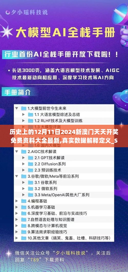 历史上的12月11日2024新澳门天天开奖免费资料大全最新,真实数据解释定义_Surface5.229