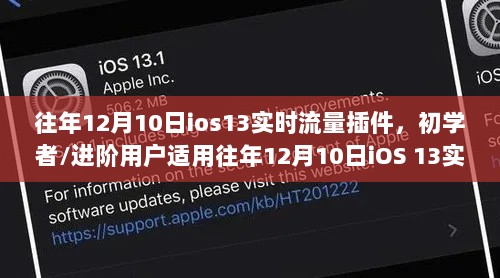 iOS 13实时流量插件安装使用指南，适合初学者与进阶用户的详细步骤教程（往年12月版）