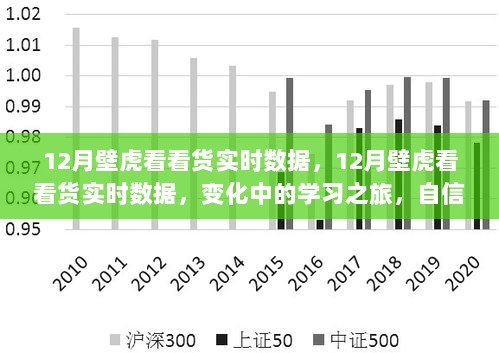 12月壁虎看看货实时数据，变化中的学习之旅，自信与成就感的融合之路