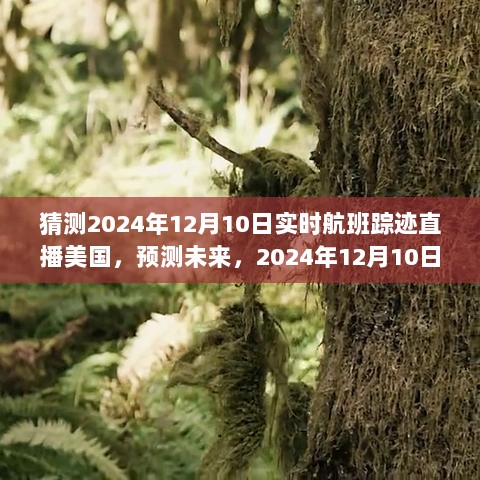 2024年12月11日 第9页