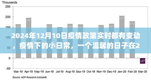 疫情下的温馨日常，2024年疫情政策实时更新与日常观察