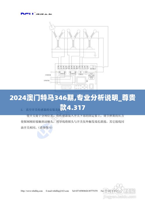 2024澳门特马346期,专业分析说明_尊贵款4.317