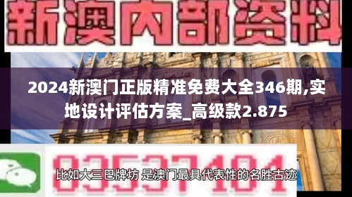 2024新澳门正版精准免费大全346期,实地设计评估方案_高级款2.875