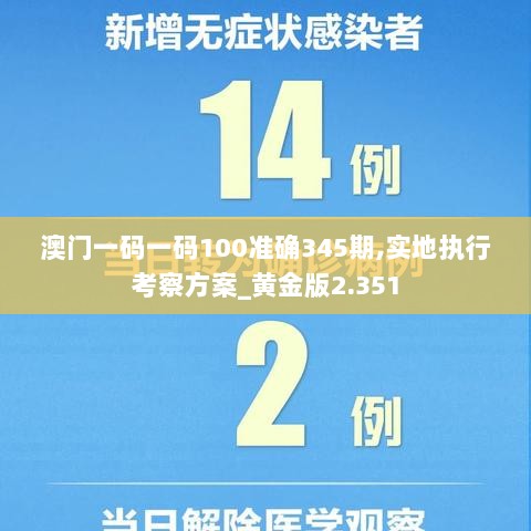 澳门一码一码100准确345期,实地执行考察方案_黄金版2.351