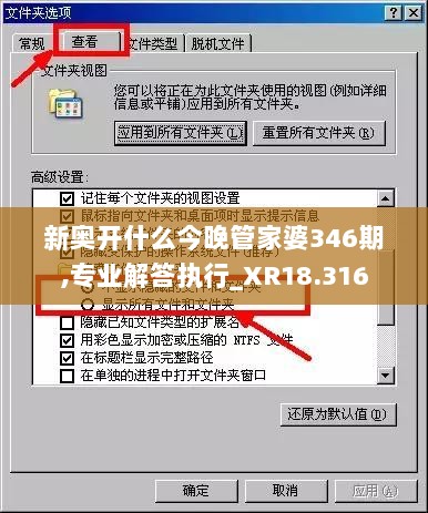 新奥开什么今晚管家婆346期,专业解答执行_XR18.316