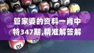 管家婆的资料一肖中特347期,精准解答解释定义_专属款10.418