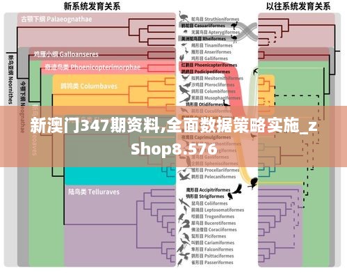 新澳门347期资料,全面数据策略实施_zShop8.576