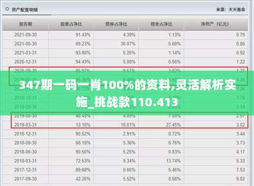 347期一码一肖100%的资料,灵活解析实施_挑战款110.413