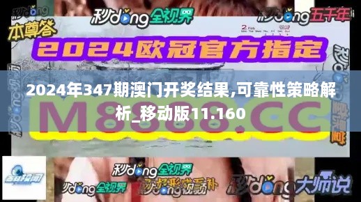 2024年347期澳门开奖结果,可靠性策略解析_移动版11.160