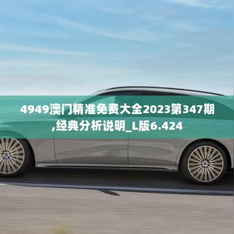 4949澳门精准免费大全2023第347期,经典分析说明_L版6.424