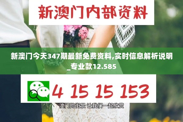 新澳门今天347期最新免费资料,实时信息解析说明_专业款12.585