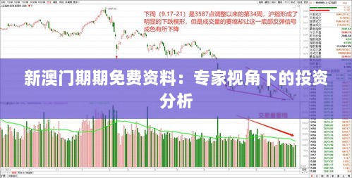 新澳门期期免费资料：专家视角下的投资分析