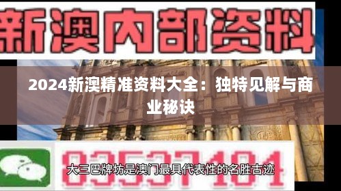 2024新澳精准资料大全：独特见解与商业秘诀