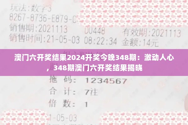 澳门六开奖结果2024开奖今晚348期：激动人心，348期澳门六开奖结果揭晓