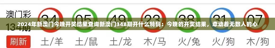 2024年12月13日 第10页