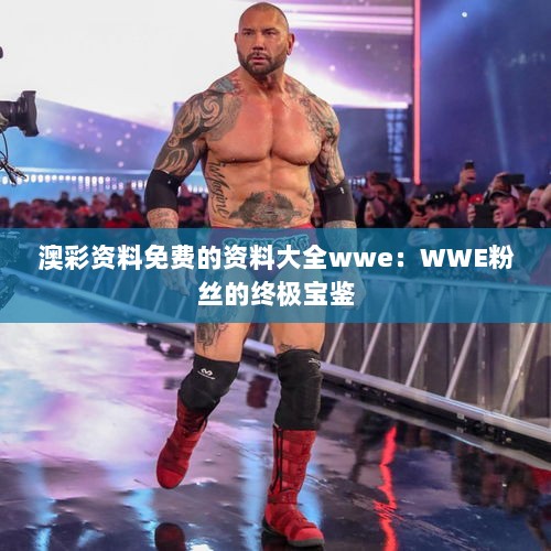 澳彩资料免费的资料大全wwe：WWE粉丝的终极宝鉴