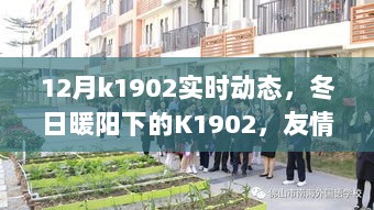 冬日暖阳下的K1902，友情、趣事与实时动态记录