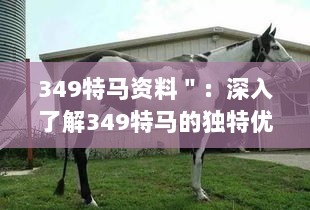 349特马资料＂：深入了解349特马的独特优势