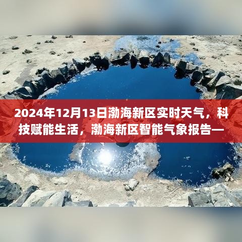 渤海新区智能气象报告，科技赋能下的实时天气体验（2024年12月13日）