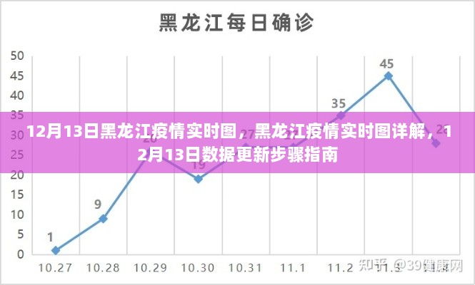 黑龙江疫情实时图详解，最新数据更新步骤指南（截至12月13日）