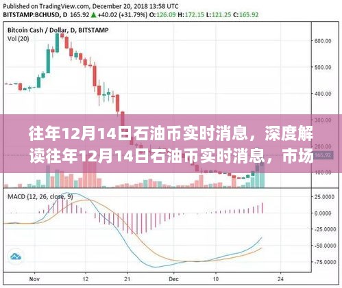 深度解读，石油币市场波动下的发展动态——历年12月14日实时消息回顾