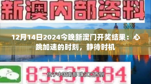 12月14日2024今晚新澳门开奖结果：心跳加速的时刻，静待时机